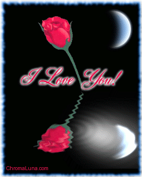 I_love_you_reflecting_rose.gif
