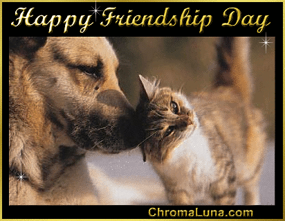 Happy Friendship Day - Pictures, Animated Gifs & Greeting Ecard.